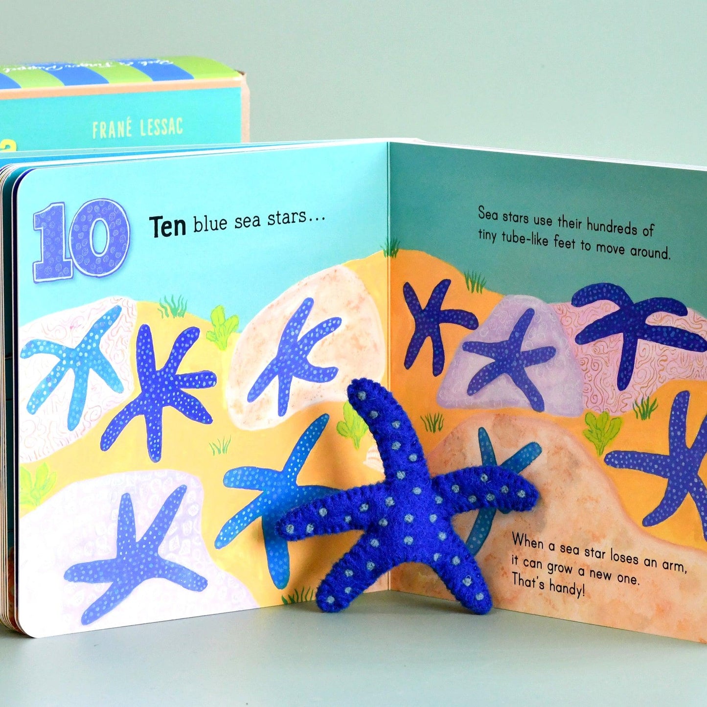 Australian Under the Sea Book
