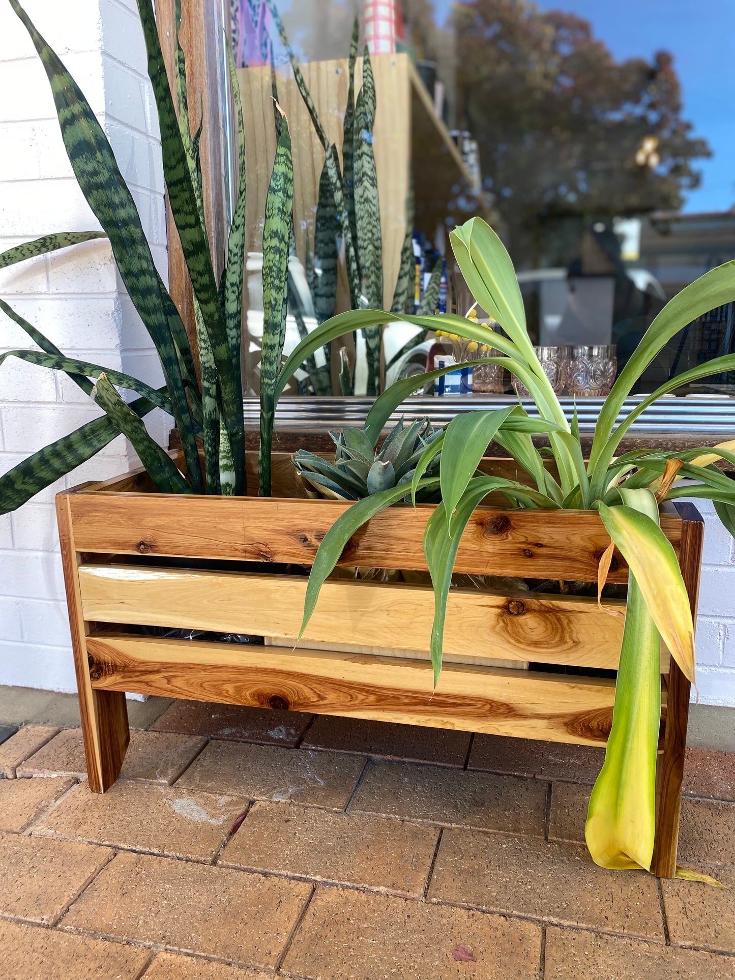 Timber Planter Box