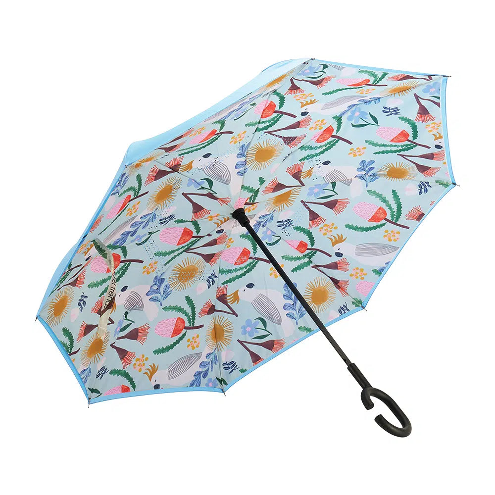 Reverse Umbrella