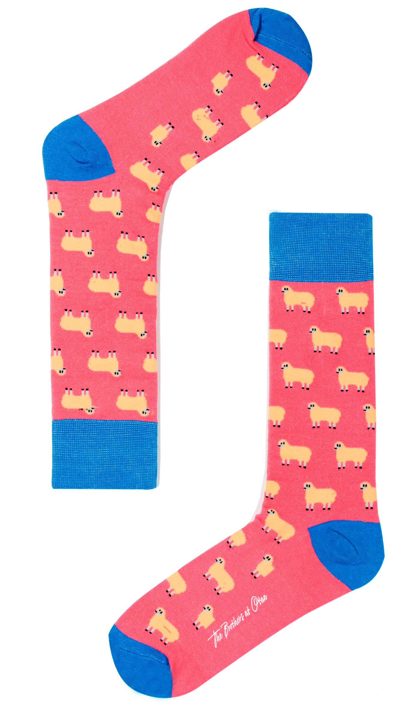 Men’s Socks - Sheep Pink